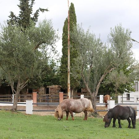 San Lorenzo de Hortóns Masia Can Rovira - Esc1852 מראה חיצוני תמונה