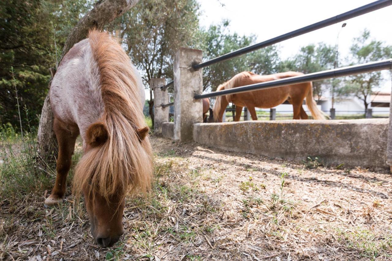 San Lorenzo de Hortóns Masia Can Rovira - Esc1852 מראה חיצוני תמונה