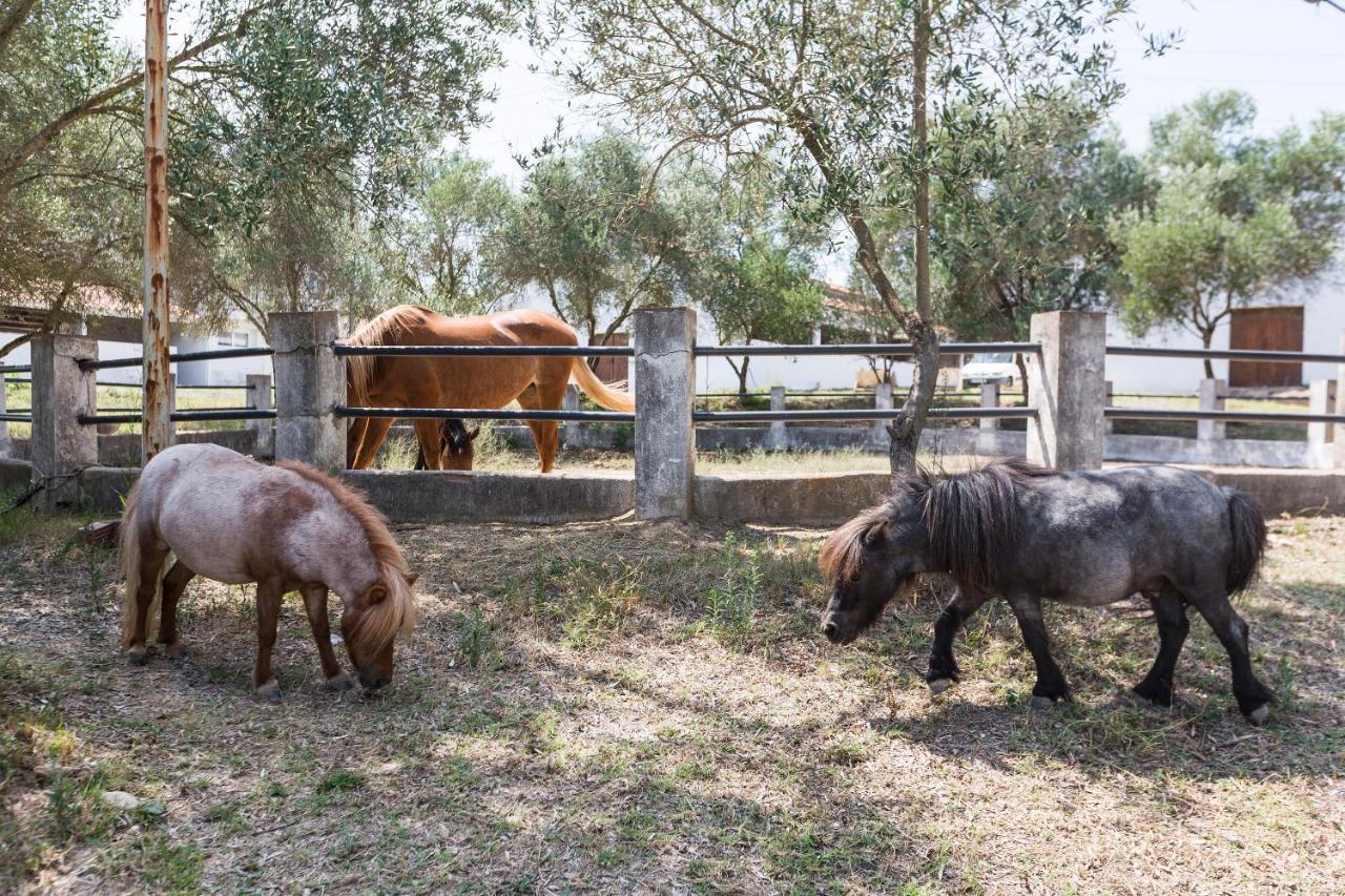 San Lorenzo de Hortóns Masia Can Rovira - Esc1852 מראה חיצוני תמונה