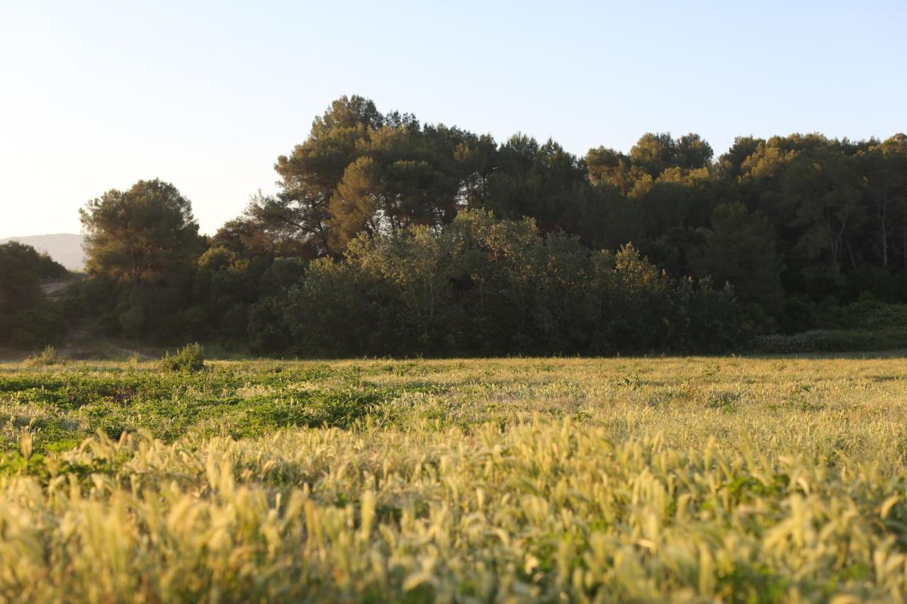 San Lorenzo de Hortóns Masia Can Rovira - Esc1852 מראה חיצוני תמונה