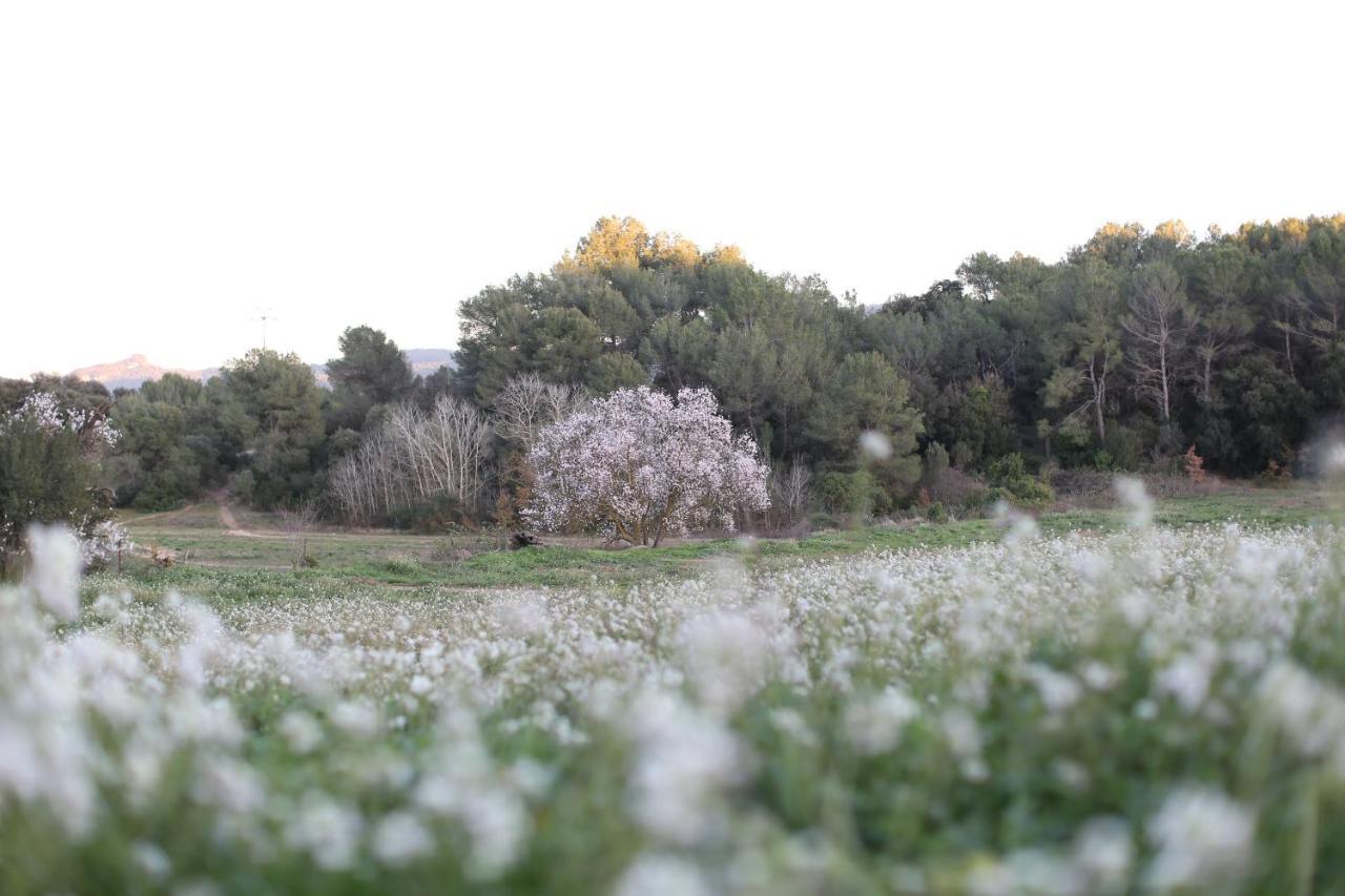 San Lorenzo de Hortóns Masia Can Rovira - Esc1852 מראה חיצוני תמונה