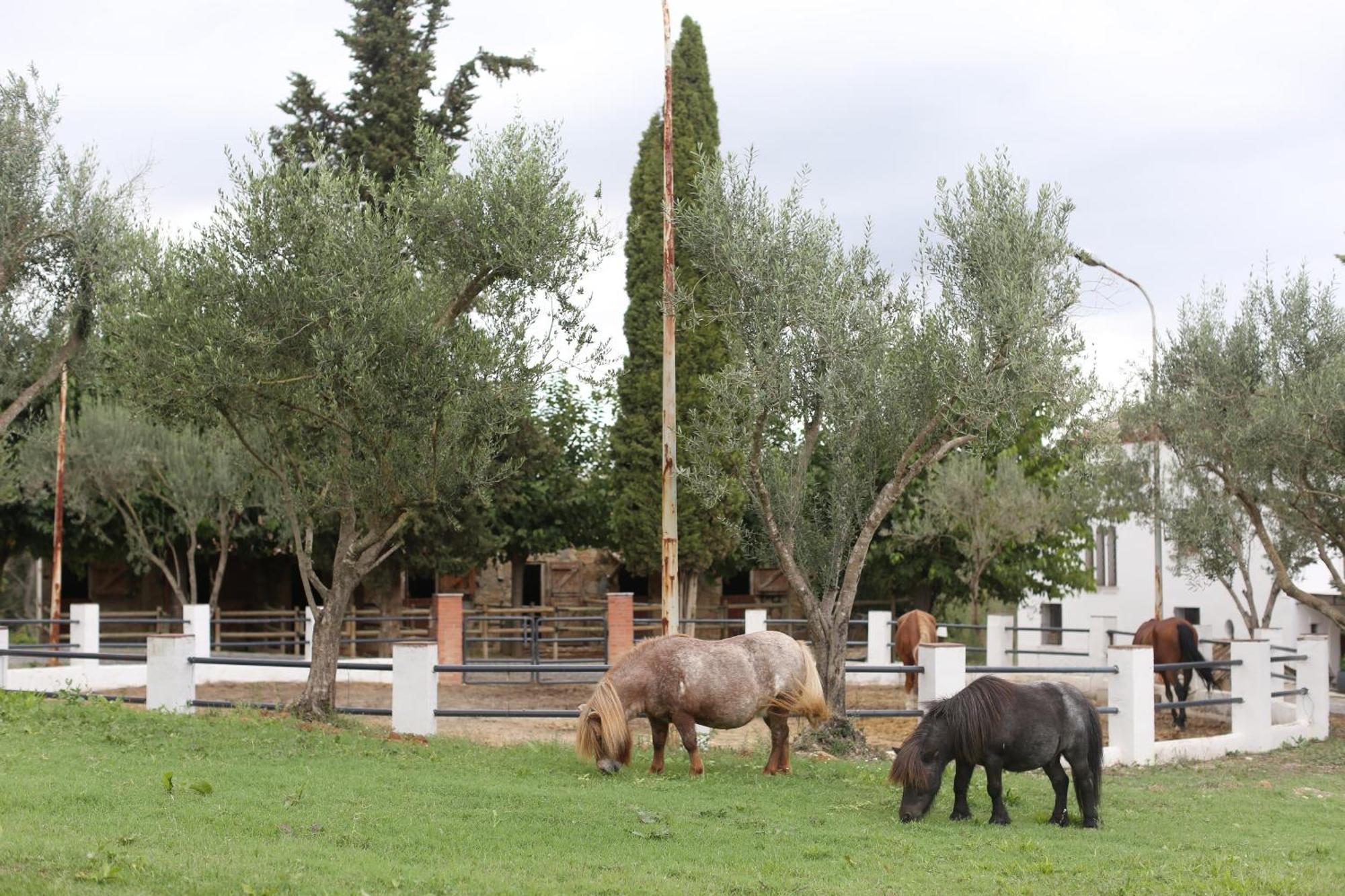 San Lorenzo de Hortóns Masia Can Rovira - Esc1852 מראה חיצוני תמונה